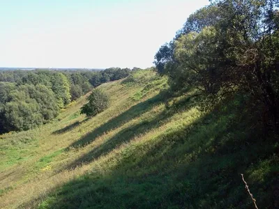 Брянск: Чашин курган и курган Бессмертия