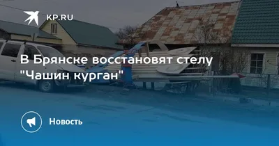 Брянцев пригласили на пешеходную экскурсию по Чашину кургану