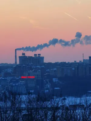 Открытию зимнего городка в парке «Амазония» может помешать УФАС | Мой  город.Онлайн – пишем полезные новости