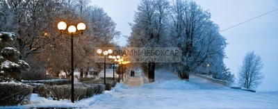 Город Чебоксары фото фотосессия Красиво Девушка Зима Girl Photo  Photosession Winter Snow tree forest city nice b… | Зимняя фотография,  Фотосессия, Красивые девушки