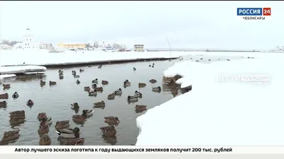 В Чебоксарах для активного отдыха горожан готовятся ледовые площадки | г.  Чебоксары Чувашской Республики