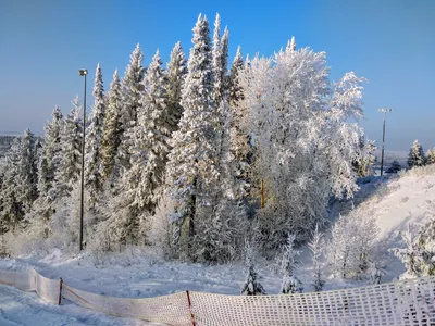 Чекерил, Ижевск: лучшие советы перед посещением - Tripadvisor