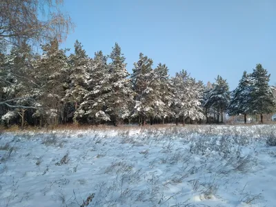 Зимний Челябинск,снегопад, ночь, в …» — создано в Шедевруме