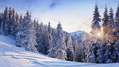 Наш Челябинск - Зимний парк Гагарина ❄ Фото: Илья Чильчагов  #нашчелябинск_фоточелябинска | Facebook