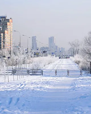 Зимний город ❄ Фото: malyshok_ #нашчелябинск_фоточелябинска  #foto@nashchelyabinsk | Наш Челябинск | ВКонтакте