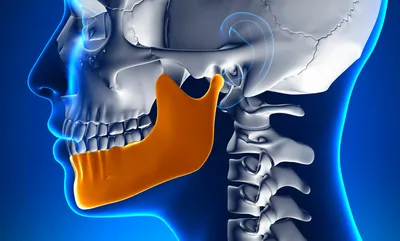 Щелчки в челюсти - Стоматология Северное Бутово Делия только качественные  услуги