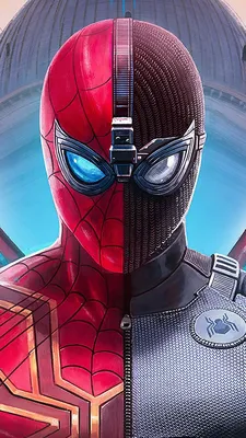 Фото-обои детские флизелиновые - человек паук Marvel spider man - 300 x 270  - Обои винил на флизелине моющиеся для девочки, мальчика. - купить по  выгодной цене в интернет-магазине OZON (827345662)