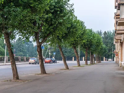 Памятник В.В. Верещагину (Череповец - Вологодская область)