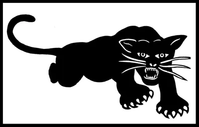 Unveiling the Myth: Black Panthers Revealed as Mystical Melanistic Leopards  and Jaguars | Turpentine Creek Wildlife Refuge