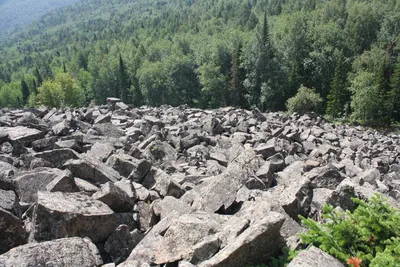 Итоги 2021-го года глазами ДЕЛА