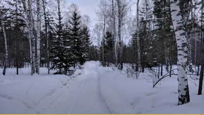 Вулкан «Черная сопка» в Красноярском крае — фото, описание на GoRu