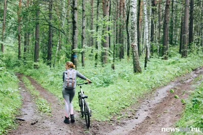 Красноярские столбы и Чёрная сопка - Местности - Каталог | Каталог  векторных карт