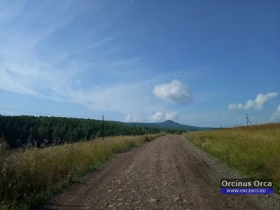 Черная сопка в Красноярске | Описание и фото