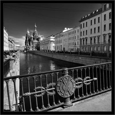 Обои черно-белые АРТЕКС Санкт-Петербург 2 10644-05 1,06х10 м — цена в  Оренбурге, купить в интернет-магазине, характеристики и отзывы, фото