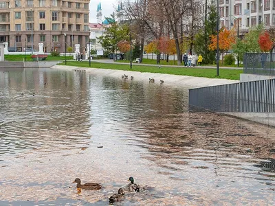 Места для пикников в Казани и за городом: у воды, на песке и на траве