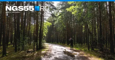СКАЗКА (Омск) - отзывы и фото - Tripadvisor