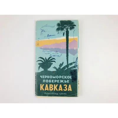 Начался август – на Черноморское побережье Кавказа едут больше по традиции  | big-rostov.ru | Дзен