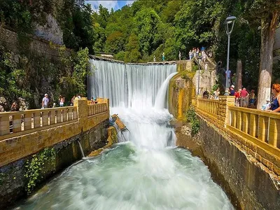 🌿🌴🌳🌻🏞️🌲🏕️🍀🏔️🗻 Черноморское …» — создано в Шедевруме