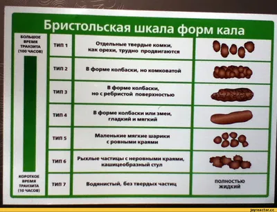 Школа для собак ДРЕД DRED - О ЧЕМ МОЛЧИТ КАКАШКА ? Часто владельцы приходят  на прием к ветеринару и на вопрос о качестве кала собаки, начинают мяться и  краснеть, не зная как