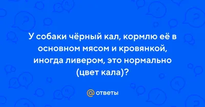 Питомник SHVALBENNEST | Facebook