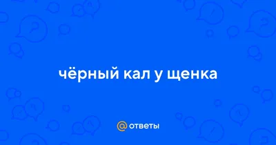 Туалет для собак, горшок для домашних животных, антипригарный кал, Женский  горшок, писсуар из нержавеющей стали, противоупотребляющий кал, маленькая  деталь | AliExpress