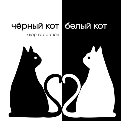 Пропал черный кот Тимофей, ул. Сайкина, Москва | Pet911.ru