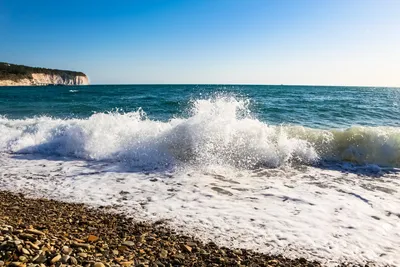 Черное море в Одессе позеленело | Новости Приднестровья