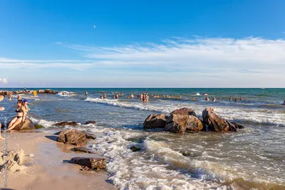 Чёрное море названо самым полезным. Объясняем, почему