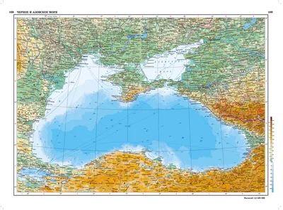 В Черном море поселился экзотический хищник – кому грозит опасность - РИА  Новости Крым, 27.10.2023