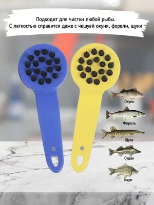 Чистка для рыбы Fish Scales Wiper Cleaning | Чистилка рыбы от чешуи Зеленая  – фото, отзывы, характеристики в интернет-магазине ROZETKA от продавца:  ТвійТехно | Купить в Украине: Киеве, Харькове, Днепре, Одессе, Запорожье,  Львове