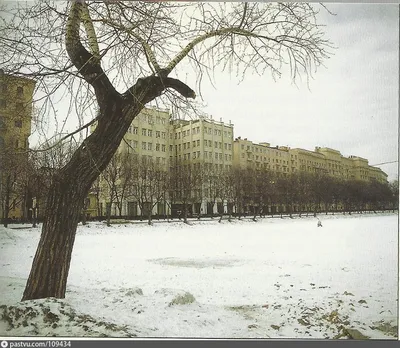 Чистые пруды на поганом месте - Мослента