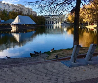 Москва, Чистые пруды осенью Стоковое Фото - изображение насчитывающей  золотисто, воссоздание: 161514656