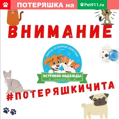 Смоленская слобода, торговый центр, Шоссейная ул., 1с4, село Смоленка —  Яндекс Карты