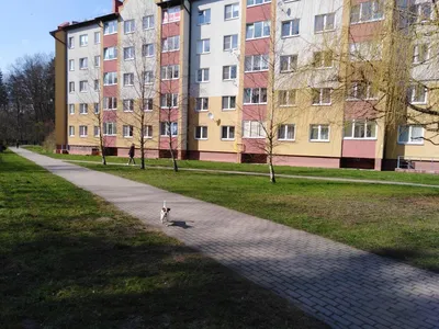 В Чкаловске перекроили движение автобусов