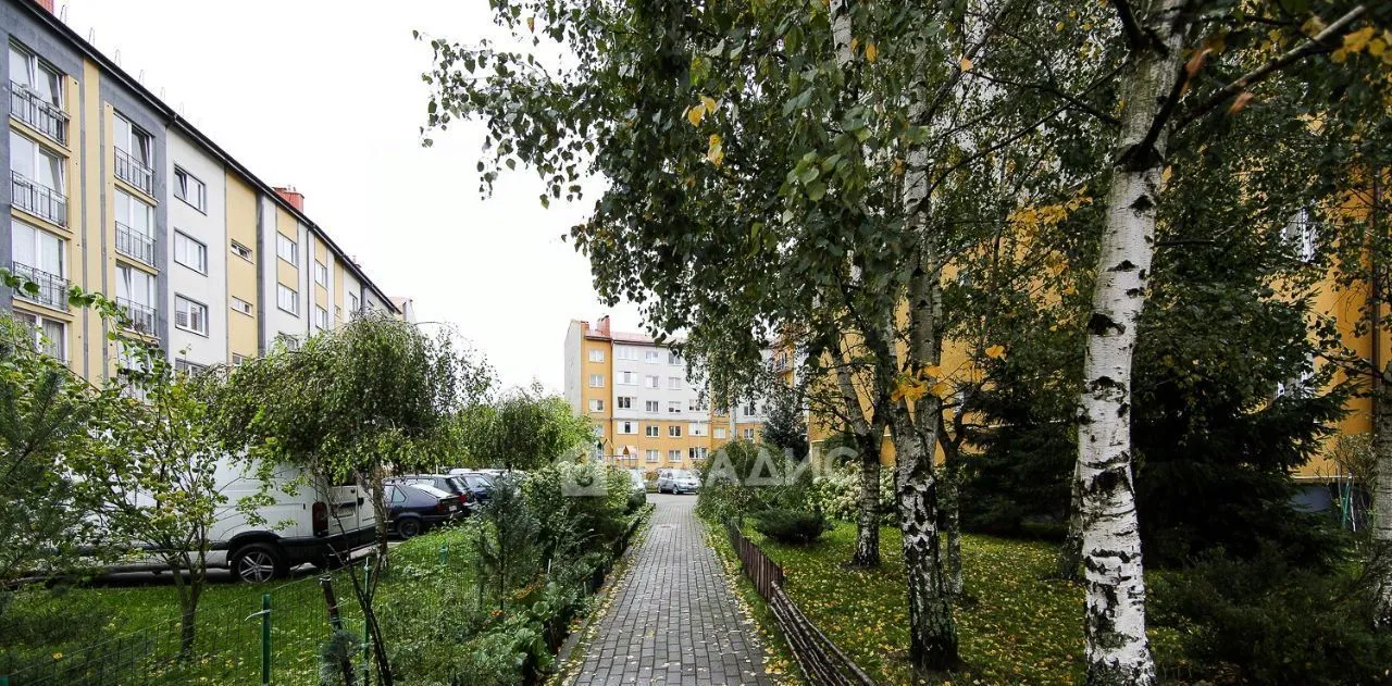 Фото: Городок, магазин продуктов, ул. Беланова, 11, микрорайон Чкаловск, Калининград — Яндекс Карты Фото: Городок, магазин продуктов, ул. Беланова, 11, микрорайон Чкаловск, Калининград — Яндекс Карты