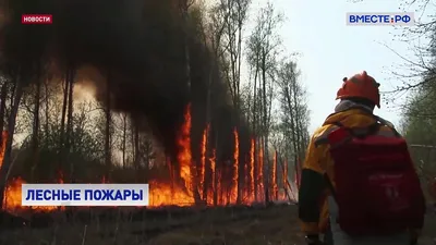 Чрезвычайная ситуация ЧС: классификация и виды (типы)