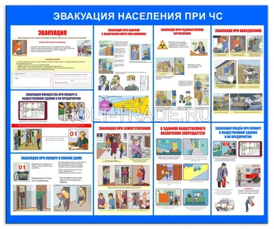 В Калининграде объявлена локальная ЧС - Новости Калининграда - Новый  Калининград.Ru