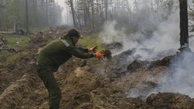 Система оповещения в ГО И ЧС (арт. ЧС11) купить в Москве с доставкой: цены  в интернет-магазине АзбукаДекор