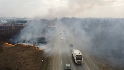 В лесах Хабаровского края ввели режим ЧС межрегионального характера —  Новости Хабаровска