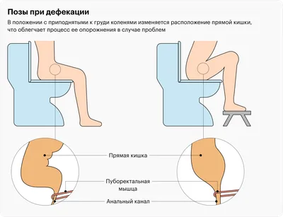 Что будет если долго не ходить в туалет — список пугающих последствий -  Hi-News.ru