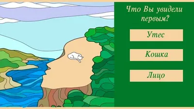 Использование функции «Что на картинке?» для распознавания объектов на фото  и видео на iPhone - Служба поддержки Apple (RU)