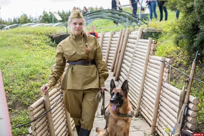 Хочу предупредить всех собачников кто живёт в районе улиц Набережной,  Исетская, Стахановская,Гагарина и близлежащие... | ВКонтакте