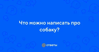 Правила воспитания и дрессировки доминантных собак — Petstory