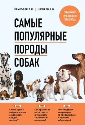 Москвичка выставила объявление об аренде \"собаки-террористки\" – Москва 24,  19.04.2022