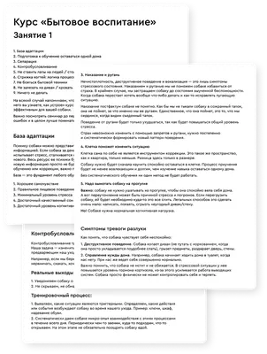 я бы хотел написать своей собаке. рукописная буквенная цитата. фразы о  домашних животных. цитаты любителя собак. каллиграфический, Иллюстрация  вектора - иллюстрации насчитывающей нарисовано, художничества: 223374677