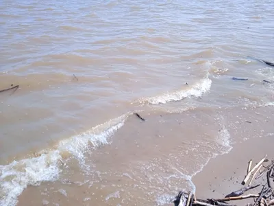 Потоп в Сочи: несколько человек на машинах потоком воды унесло в море - BBC  News Русская служба
