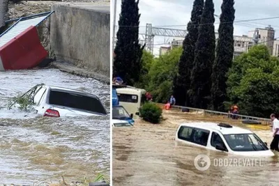 Отдых в Сочи в феврале — обзор Куда на море.ру