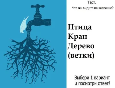 Тест на внимательность! Что изображено на картинке?! Я вижу женщину | Всё о  Полезном | Дзен