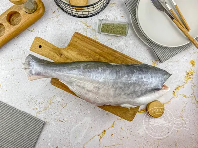 Рыба пангасиус🐟: фото и описание. Как выглядит пангасиус👍, чем питается и  где водится