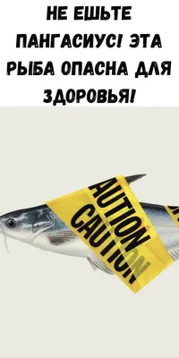 Рыба Филе замороженное Пангасиус - «Кроме страшилок о вредности и  токсичности, у ПАНГАСИУСА недостатков хватает. А еще его часто выдают за  совершенно другую рыбу! Расскажу в чем отличия» | отзывы